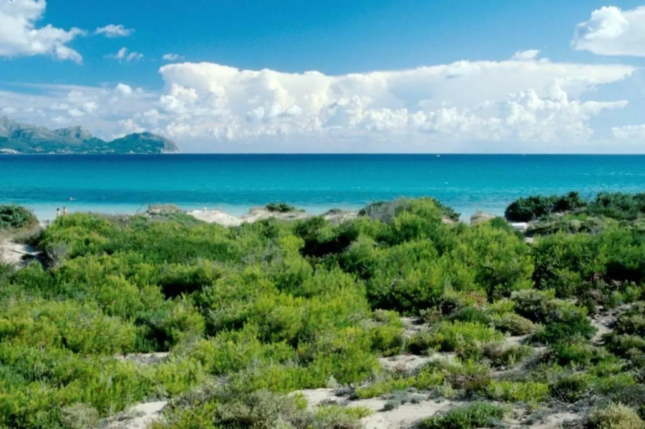 Apartmán Curling Port d'Alcúdia 0*,